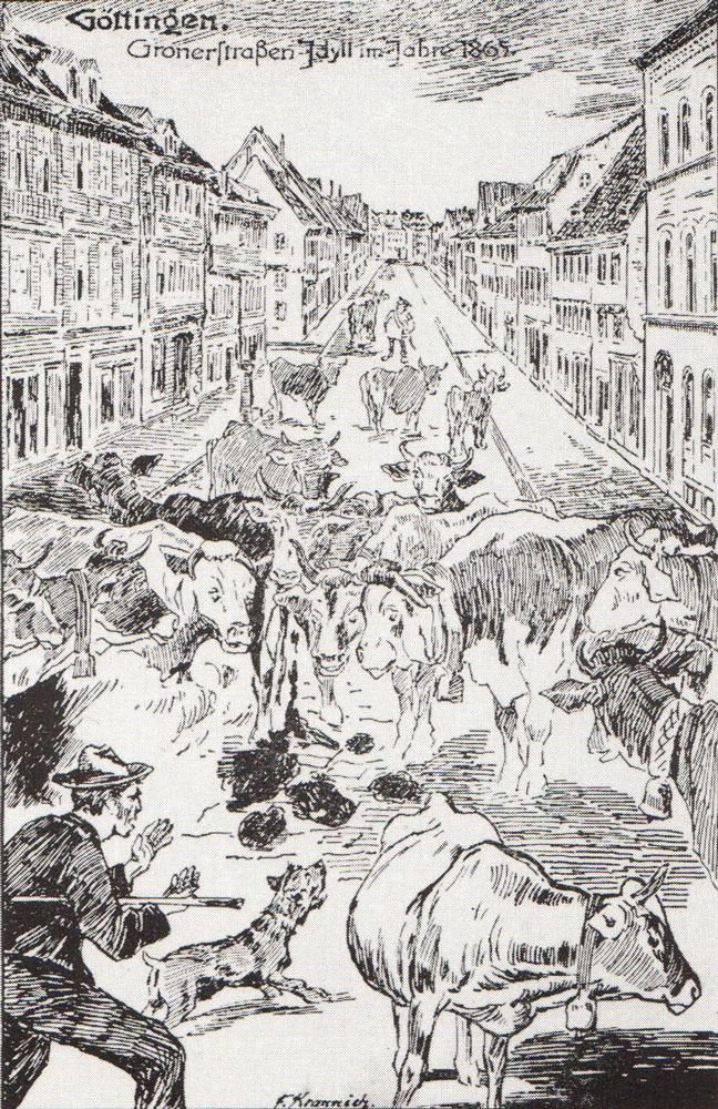 Das tägliche Viehtreiben durch die Göttinger Strassen, welches noch bis in die 1870er Jahre Brauch war.#Sammlung Hernfred Arndt, Göttingen.